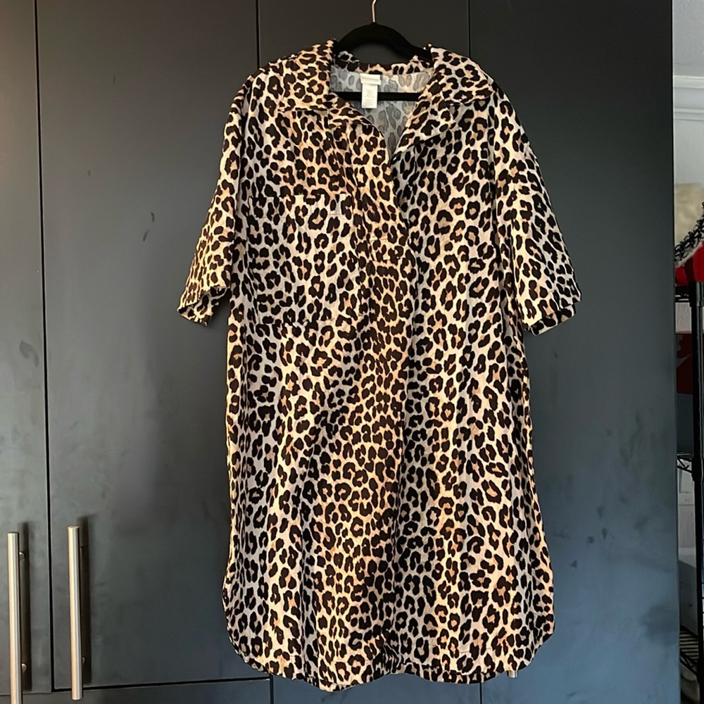 H&M Leopard Print Mini Dress